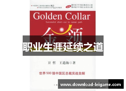 职业生涯延续之道