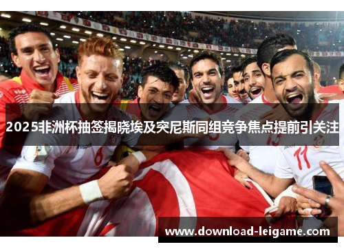 2025非洲杯抽签揭晓埃及突尼斯同组竞争焦点提前引关注